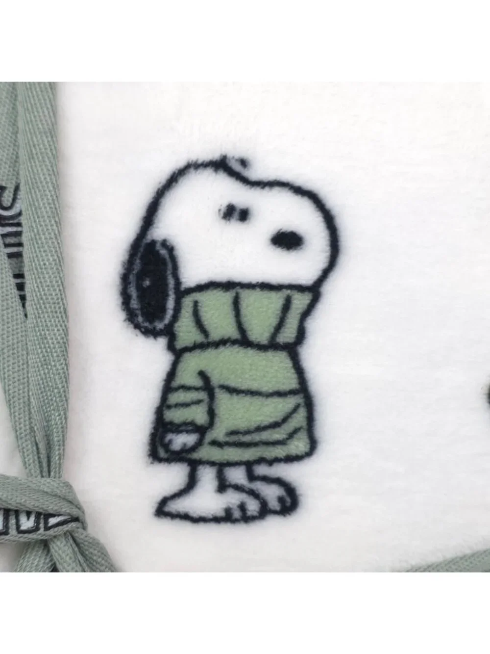 Peanuts Snoopy Velvetloft Plush Queen Blanket 90